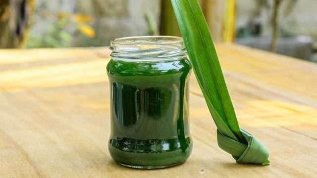 How to Make Pandan Fused by Fiona Uyema